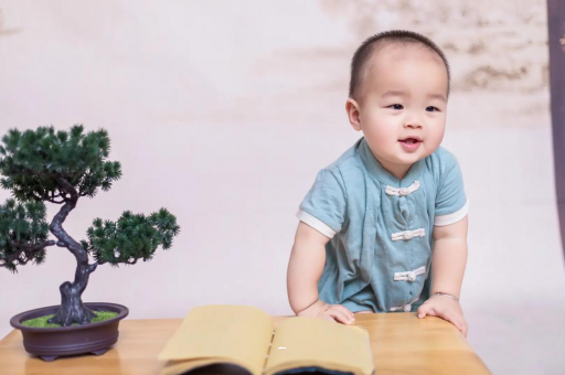 广汉可爱的企鹅宝宝